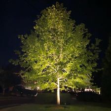 Landscape led lighting installation in gainesville va